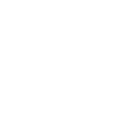 Construction & Renovation